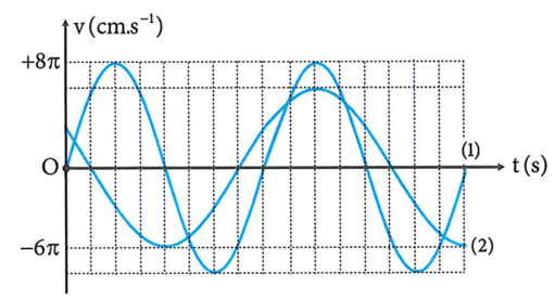 Đồ thị vận tốc - thời gian của hai con lắc (1) và (2) được cho bởi hình vẽ. Biết biên độ của con lắc (2) là 9 cm. Tốc độ trung bình của con lắc (1) kể