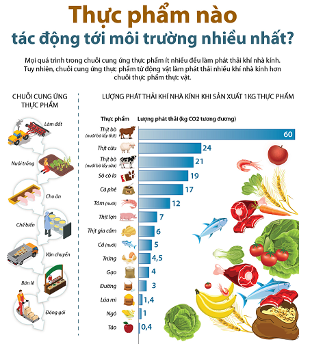 Dựa vào các thông tin dưới đây  để trả lời các câu từ 65 đến 67:

(Nguồn:  ourworldindata.org )                                                       