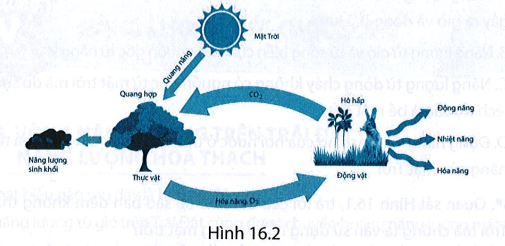 Dựa vào sơ đồ mô tả sự chuyển hoá năng lượng mặt trời thành các dạng năng lượng trên Trái Đất ở Hình 16.2, cho biết nhận xét nào sau đây là đúng.

A. 