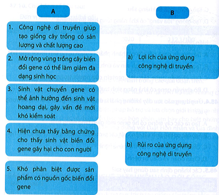 Ghép các thông tin ở cột A vào nhóm lợi ích hoặc rủi ro của ứng dụng công nghệ di truyền ở cột B cho phù hợp.