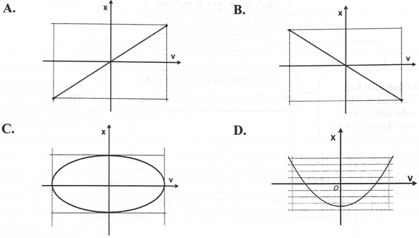 Gọi x và v lần lượt là li độ và vận tốc của một dao động điều hoà. Đồ thị nào sau đây biểu diễn đúng mối liên hệ giữa hai đại lượng trên?