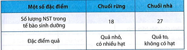 Một số đặc điểm khác biệt giữa chuối rừng và chuối nhà được trình bày trong bảng sau:  a) Giải thích sự khác nhau về số lượng NST giữa chuối nhà và chuối