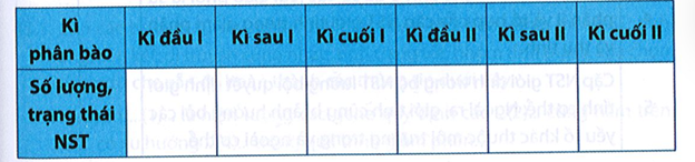 Một tế bào sinh trứng ở ruồi giấm (2n = 8) tiến hành giảm phân bình thường. Xác định số lượng NST và trạng thái (đơn hay kép) của NST theo mẫu bảng dưới