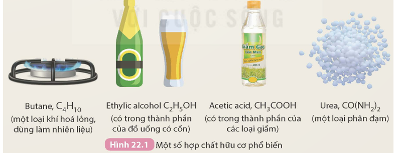 Quan sát công thức của các hợp chất hữu cơ phổ biến trong Hình 22.1 và cho biết đặc điểm chung về thành phần nguyên tố của các phân tử hợp chất hữu cơ