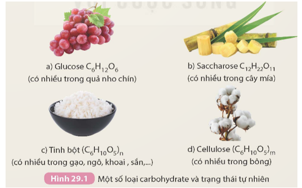 Quan sát công thức phân tử của một  số carbohydrate trong Hình 29.1 và thực hiện các yêu cầu sau:

1. Carbohydrate được tạo thành từ những nguyên tố nào?

2.