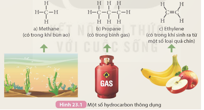 Quan sát Hình 23.1 và cho biết hợp chất nào không thuộc loại alkane. Giải thích.