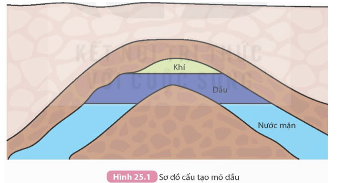 Quan sát sơ đồ trên Hình 25.1 và trình bày cấu tạo của mỏ dầu.