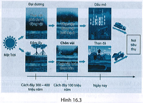 Sự hình thành dầu mỏ và than đá cũng có nguồn gốc từ năng lượng mặt trời như mô tả trong sơ đổ Hình 16.3.

a) Dầu mỏ, than đá được hình thành như thế nào?

b)