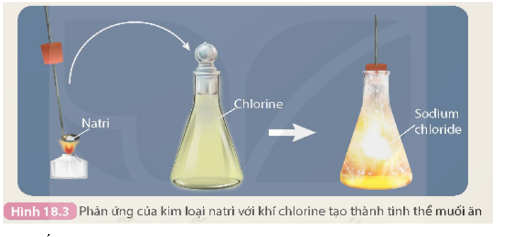 - Thí nghiệm natri (sodium) tác dụng với chlorine được thực hiện như sau:

Đun nóng chảy một mẩu natri rồi cho nhanh vào bình khí chlorine (màu vàng lục),