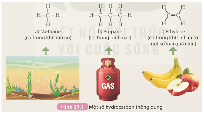 Tìm hiểu về các hydrocarbon thông dụng

 

Quan sát Hình 23.1 và thực hiện các yêu cầu sau:

1. Nhận xét đặc điểm chung về thành phần nguyên tố của ba