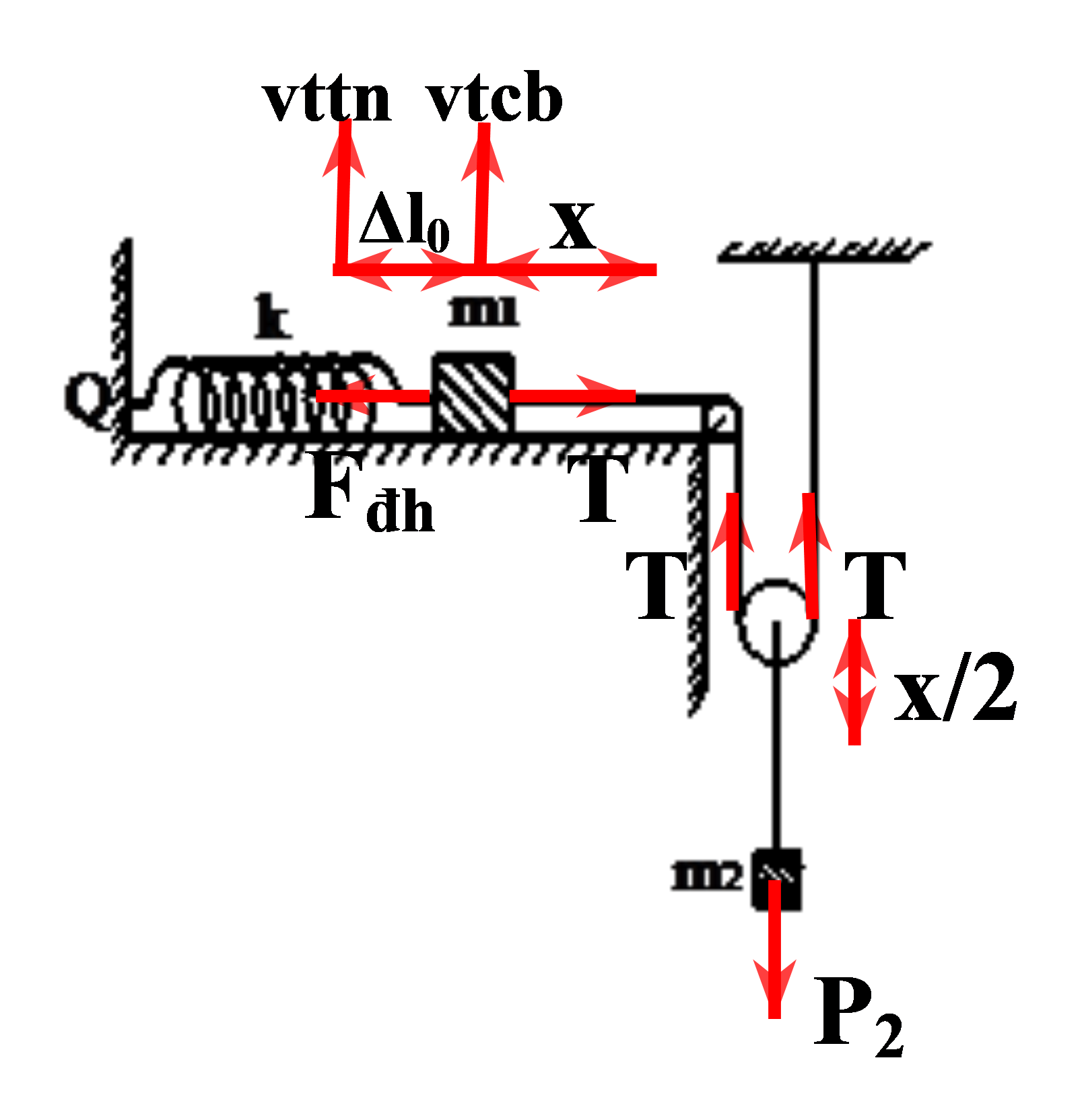 Cho cơ hệ như hình vẽ, biết m1 = m2 = 400 g, k = 40 N/m. Từ vị trí cân bằng, nâng (ảnh 2)