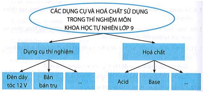 Học sinh lập sơ đồ theo ý tưởng của mình, có thể tham khảo ý tưởng sau: