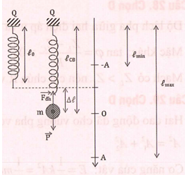 Một con lắc lò xo treo thẳng đứng gồm lò xo có chiều dài (ảnh 1)