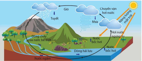 Trong vòng tuần hoàn của nước cũng có sự chuyển hóa năng lượng mặt trời thành các dạng năng lượng.      

Phát biểu    

Đúng    

Sai      

a. Nước từ