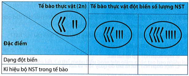 Vận dụng kiến thức đã học, hoàn thành thông tin trong bảng sau:        