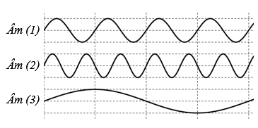 Ba âm được phát ra từ ba nguồn âm có đồ thị dao động âm – thời gian được cho như hình vẽ. Sắp xếp theo thứ tự tăng dần của độ cao các âm là