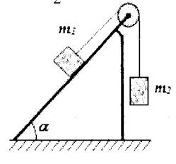 Cho cơ hệ như hình vẽ, hai vật m1, m2  được nối với nhau bằng một sợi dây nhẹ không giãn, bắc qua một ròng tọc có ma sát không đáng kể. Biết m1=1kg; m2=2kg; α = 45∘; g = 10 m/s2. 