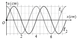 Cho sóng cơ lan truyền theo chiều dương của trục Ox trên một sợi dây đàn hồi, người ta quan sát thấy tại hai thời điểm t1 và t2=t1+1s hình ảnh của sợi