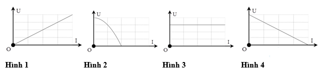 Đặt vào hai đầu đoạn mạch chứa điện trở R một điện áp U thì cường độ dòng điện chạy qua điện trở là I. Đường nào sau là đường đặc trưng Vôn – Ampe của