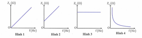 Đồ thị nào sau đây có thể biểu diễn sự phụ thuộc cảm kháng của cuộn cảm vào tần số  (ảnh 1)
