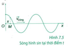 Dựa vào hình 7.5 SGK, hãy tìm những điểm dao động đồng pha với nhau.