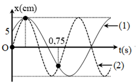 Hai chất điểm dao động điều hòa cùng biên độ. Tại t = 0, chất điểm (1) xuất phát tại vị trí có li độ 5 cm và chất điểm (2) xuất phát tại vị trí cân bằng.