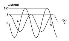 Hai chất điểm dao động điều hòa cùng tần số trên hai đường thẳng song song, cách nhau 5 cm và song song với trục tọa độ Ox. Đồ thị biểu diễn sự phụ thuộc