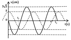 Hai chất điểm dao động điều hòa cùng tần số trên hai đường thẳng song song kề nhau cách nhau 5 cm và cùng song song với Ox có đồ thị li độ như hình vẽ.