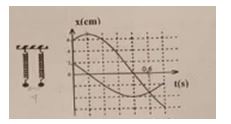 Hai con lắc lò xo giống nhau được treo vào hai điểm ở cùng độ cao, cách nhau 4cm. Kích thích cho hai con lắc dao động điều hòa theo phương thẳng đứng thì