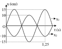 Hai lò xo giống nhau đều có khối lượng vật nhỏ là m. Lấy mốc thế năng tại VTCB và π2=10. x1 và x2 lần lượt là đồ thị li độ theo thời gian của con lắc thứ