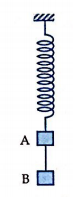 Hai vật A và B kích thước nhỏ, cùng khối lượng m=1 kg  được nối với nhau bởi sợi dây mảnh nhẹ dài l=10 cm,  và được treo vào lò xo có độ cứng k=100 N/m 