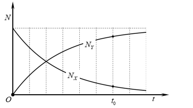 Hạt nhân mẹ X   phóng xạ tạo thành hạt nhân con Y. Sự phụ thuộc số hạt nhân X và Y  theo thời gian được cho bởi đồ thị. Tỉ số hạt nhân NYNX   tại thời