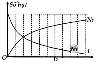 Hạt nhân mẹ X phóng xạ tạo thành hạt nhân con Y. Sự phụ thuộc số hạt nhân X và Y theo thời gian được Cho bởi đồ thị. Tỉ số hạt nhân   NYNX  tại thời điểm 