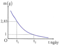 Hình bên là đồ thị biểu diễn khối lượng hạt nhân của một chất phóng xạ X phụ thuộc vào thời gian t. Biết t2−t1=5,7  ngày. Chu kì bán rã của chất phóng