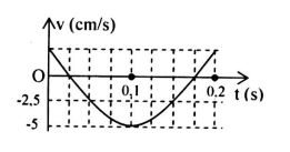 Hình bên là đồ thị biểu diễn sự phụ thuộc của vận tốc v theo thời gian t của một vật dao động điều hòa. Phương trình dao động của vật là