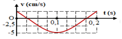 Hình bên là đồ thị biểu diễn sự phụ thuộc của vận tốc v theo thời gian t của một vật dao động điều hòa.  Phương trình gia tốc của vật là