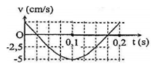 Hình bên là đồ thị biểu diễn sự phụ thuộc vận tốc v theo thời gian t của một vật dao động điều hòa. Gia tốc cực đại của vật là