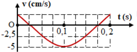 Hình bên là một đoạn đồ thị biểu diễn sự phụ thuộc của vận tốc v theo thời gian t của  một vật dao động điều hòa. Phương trình dao động của vật là