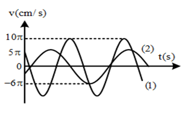 Hình vẽ là đồ thị phụ thuộc thời gian của vận tốc của hai vật dao động điều hòa: vật 1 đường 1 và vật 2 đường 2. Biết biên độ dao động của vật 2 là 9 cm