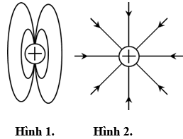 Hình vẽ nào sau đây là đúng khi vẽ đường sức điện của một điện tích dương?