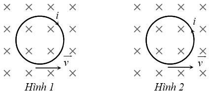 Hình vẽ nào sau đây xác định đúng chiều dòng điện cảm ứng khi cho vòng dây tịnh tiến với vận tốc v→   trong từ trường đều