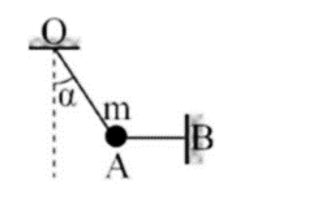 Một chất điểm có khối lượng m = 100 g được treo trong mặt phẳng thẳng đứng nhờ hai dây như hình vẽ. Dây OA hợp với phương thẳng đứng góc α (sao cho cosα=0,8),