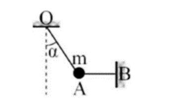 Một chất điểm có khối lượng m = 100 g được treo trong mặt phẳng thẳng đứng nhờ hai dây như hình vẽ. Dây OA hợp với phương thẳng đứng góc α (sao cho cosα=0,8),