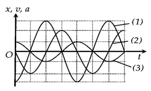 Một chất điểm dao động điều hoà dọc theo trục Ox xung quanh vị trí cân bằng của nó. Đường biểu diễn sự phụ thuộc li độ, vận tốc, gia tốc theo thời gian