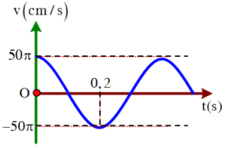 Một chất điểm dao động điều hòa theo phương trình  \(x = A\cos (\omega t + \varphi )\) . Đồ thị vận tốc biến thiên theo thời gian được biểu diễn theo hình