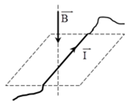 Một đoạn dây dẫn có dòng điện I nằm ngang đặt trong từ trường (ảnh 1)