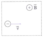 Một electron chuyển động thẳng đều trong miền có cả từ trường đều và điện trường đều. Véctơ vận tốc của hạt và hướng đường sức từ như hình vẽ. Cho B=0,004T, v=2.106m/s,