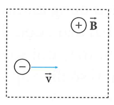 Một electron chuyển động thẳng đều trong miền có cả từ trường đều và điện trường đều. Véctơ vận tốc của hạt và hướng đường sức từ như hình vẽ. Cho B=0,004T,v=2.106m/s,