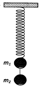 Một lò xo nhẹ có k = 100 N/m treo thẳng đứng, đầu dưới treo hai vật nặng   m1=m2=100g. Khoảng cách từ  m2  tới mặt đất là  h=4,918(m). Bỏ qua khoảng cách