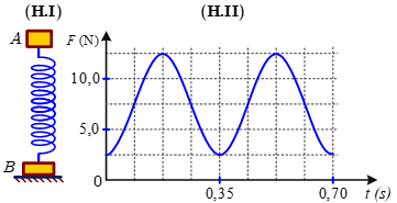 Một lò xo nhẹ được đặt thẳng đứng có đầu trên gắn với vật nhỏ  A  khối lượng  m , đầu dưới gắn với vật nhỏ  B  khối lượng  2m , vật  B  được đặt trên mặt